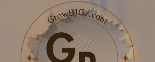 GrowBIGz